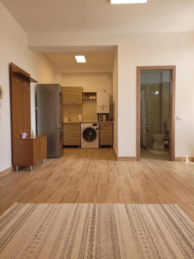 Râmnicu Vâlcea Apartamente Livada מראה חיצוני תמונה