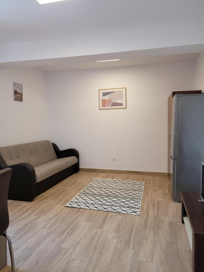 Râmnicu Vâlcea Apartamente Livada מראה חיצוני תמונה